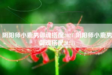 阴阳师小鹿男御魂搭配2021(阴阳师小鹿男御魂搭配2021)