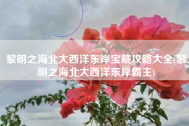 黎明之海北大西洋东岸宝藏攻略大全(黎明之海北大西洋东岸霸主)