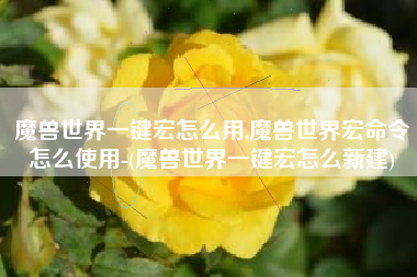 魔兽世界一键宏怎么用,魔兽世界宏命令怎么使用-(魔兽世界一键宏怎么新建)
