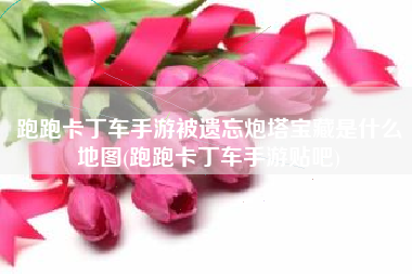 跑跑卡丁车手游被遗忘炮塔宝藏是什么地图(跑跑卡丁车手游贴吧)