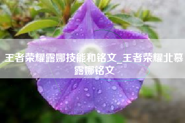 王者荣耀露娜技能和铭文_王者荣耀北慕露娜铭文