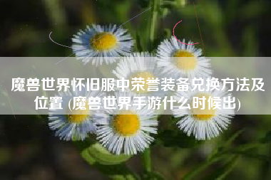 魔兽世界怀旧服中荣誉装备兑换方法及位置 (魔兽世界手游什么时候出)