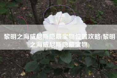 黎明之海威尼斯隐藏宝物位置攻略(黎明之海威尼斯隐藏宝物)