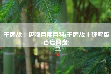 王牌战士伊瞳百度百科(王牌战士破解版百度网盘)