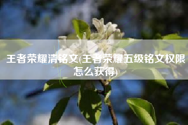 王者荣耀清铭文(王者荣耀五级铭文权限怎么获得)