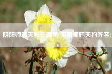 阴阳师鸦天狗在哪里(阴阳师鸦天狗阵容)