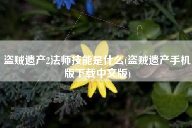 盗贼遗产2法师技能是什么(盗贼遗产手机版下载中文版)