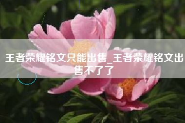 王者荣耀铭文只能出售_王者荣耀铭文出售不了了