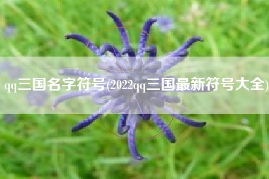 qq三国名字符号(2022qq三国最新符号大全)