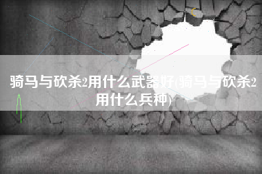 骑马与砍杀2用什么武器好(骑马与砍杀2用什么兵种)