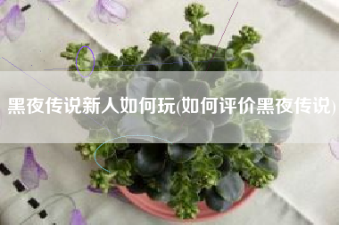 黑夜传说新人如何玩(如何评价黑夜传说)