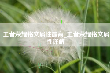 王者荣耀铭文属性最高_王者荣耀铭文属性详解