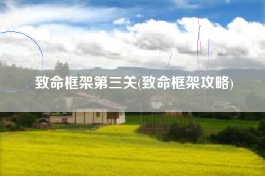 致命框架第三关(致命框架攻略)