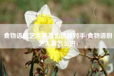 食物语厨艺大赛怎么选择对手(食物语厨艺大赛怎么进)