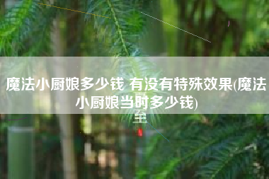 魔法小厨娘多少钱 有没有特殊效果(魔法小厨娘当时多少钱)
