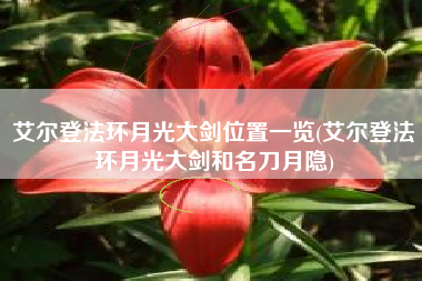 艾尔登法环月光大剑位置一览(艾尔登法环月光大剑和名刀月隐)