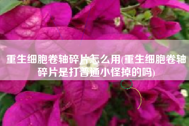重生细胞卷轴碎片怎么用(重生细胞卷轴碎片是打普通小怪掉的吗)