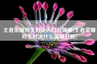 王者荣耀双生对决入口在哪里(王者荣耀双生对决什么英雄好玩)