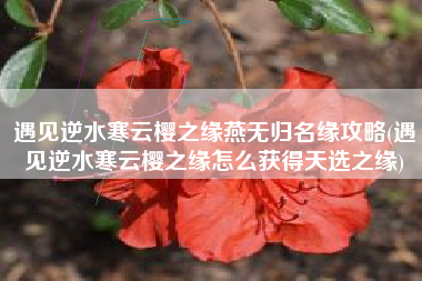 遇见逆水寒云樱之缘燕无归名缘攻略(遇见逆水寒云樱之缘怎么获得天选之缘)