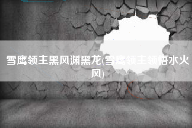 雪鹰领主黑风渊黑龙(雪鹰领主领悟水火风)