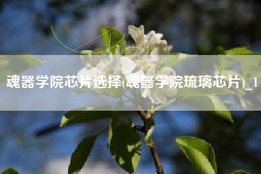 魂器学院芯片选择(魂器学院琉璃芯片)_1
