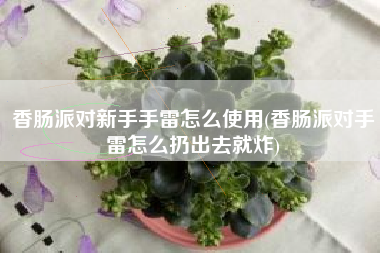 香肠派对新手手雷怎么使用(香肠派对手雷怎么扔出去就炸)