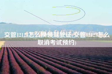 交管12123怎么换领驾驶证(交管12123怎么取消考试预约)