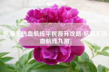 航海王热血航线平民晋升攻略(航海王热血航线九游)