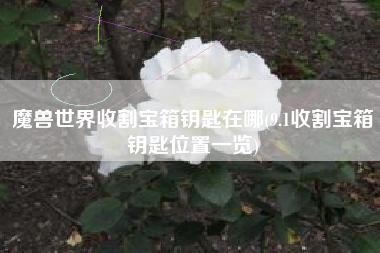 魔兽世界收割宝箱钥匙在哪(9.1收割宝箱钥匙位置一览)