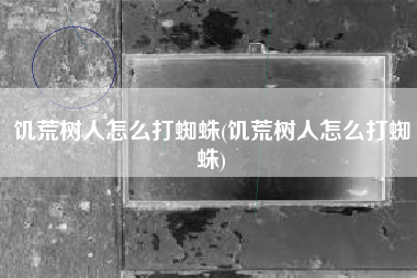 饥荒树人怎么打蜘蛛(饥荒树人怎么打蜘蛛)