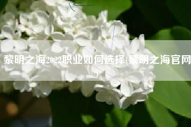 黎明之海2022职业如何选择(黎明之海官网)