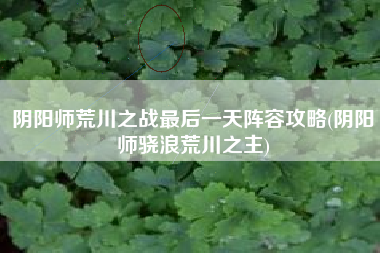 阴阳师荒川之战最后一天阵容攻略(阴阳师骁浪荒川之主)