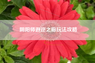 阴阳师遐迩之廊玩法攻略