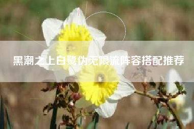 黑潮之上白鹭伪无限流阵容搭配推荐