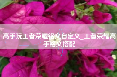 高手玩王者荣耀铭文自定义_王者荣耀高手铭文搭配