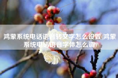 鸿蒙系统电话语音转文字怎么设置(鸿蒙系统电话语音字体怎么调)