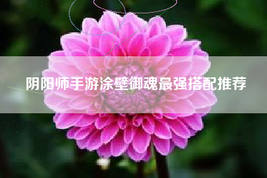 阴阳师手游涂壁御魂最强搭配推荐