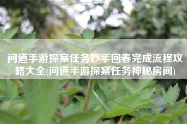 问道手游探案任务妙手回春完成流程攻略大全(问道手游探案任务神秘房间)