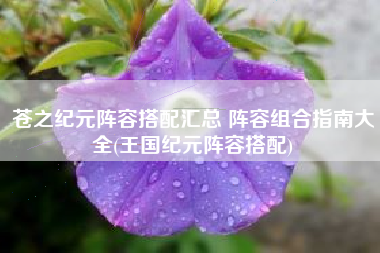 苍之纪元阵容搭配汇总 阵容组合指南大全(王国纪元阵容搭配)