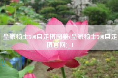 皇家骑士300自走棋图鉴(皇家骑士300自走棋官网)_1