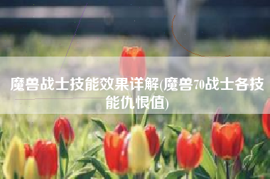 魔兽战士技能效果详解(魔兽70战士各技能仇恨值)