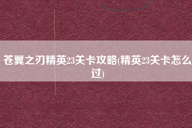 苍翼之刃精英23关卡攻略(精英23关卡怎么过)