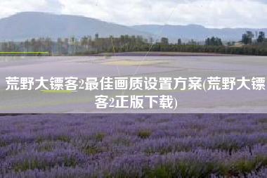 荒野大镖客2最佳画质设置方案(荒野大镖客2正版下载)