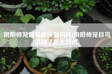 阴阳师笼目鸟皮肤如何样(阴阳师笼目鸟错过了怎么获得)