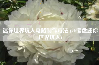 迷你世界坑人电路制作方法 (kk键盘迷你世界坑人)