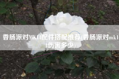 香肠派对MK14配件搭配推荐(香肠派对mk14伤害多少)