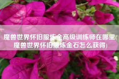 魔兽世界怀旧服炼金高级训练师在哪里(魔兽世界怀旧服炼金石怎么获得)