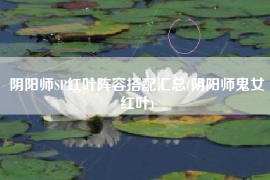 阴阳师SP红叶阵容搭配汇总(阴阳师鬼女红叶)