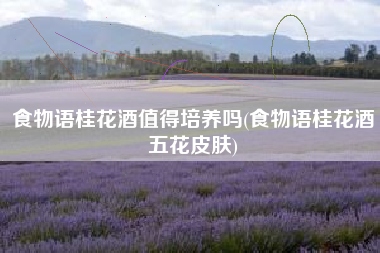 食物语桂花酒值得培养吗(食物语桂花酒五花皮肤)