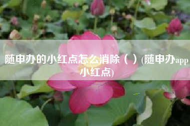 随申办的小红点怎么消除（）(随申办app小红点)